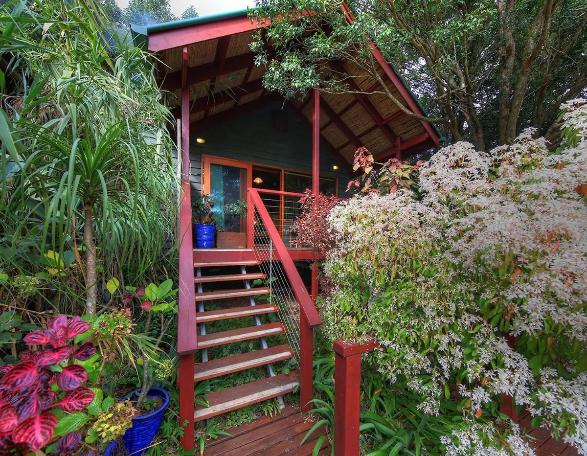 Maleny Tropical Retreat Bed & Breakfast